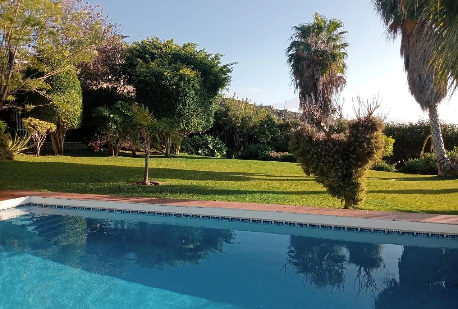 Villa Carioca - With Private Pool, Marvelous Garden And Amazing Ocean View contacts